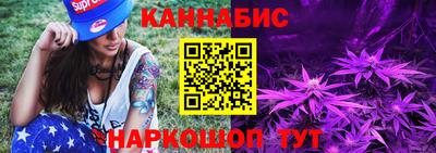 крисы Гатчина