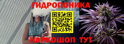прущие крисы Гай