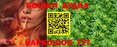 крисы Гатчина