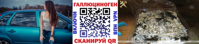 Псилоцибиновые грибы Cubensis  MEGA зеркало  Новодвинск 
