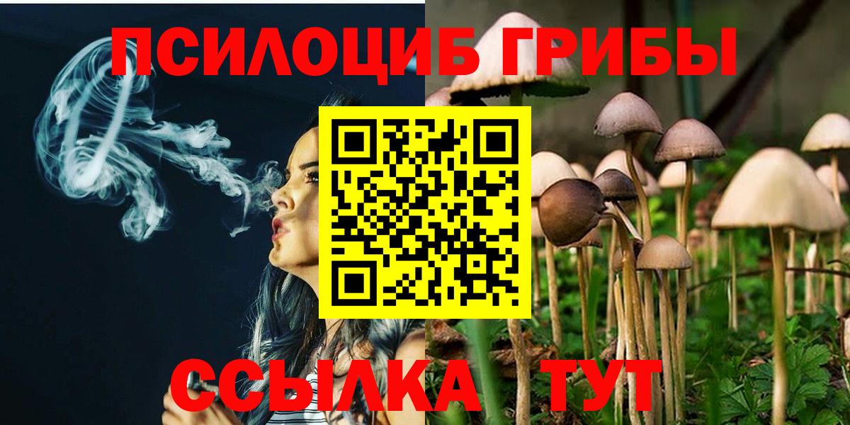 Галлюциногенные грибы прущие грибы  Вход с VPN  Галлюциногенные грибы мухоморы  Новодвинск 